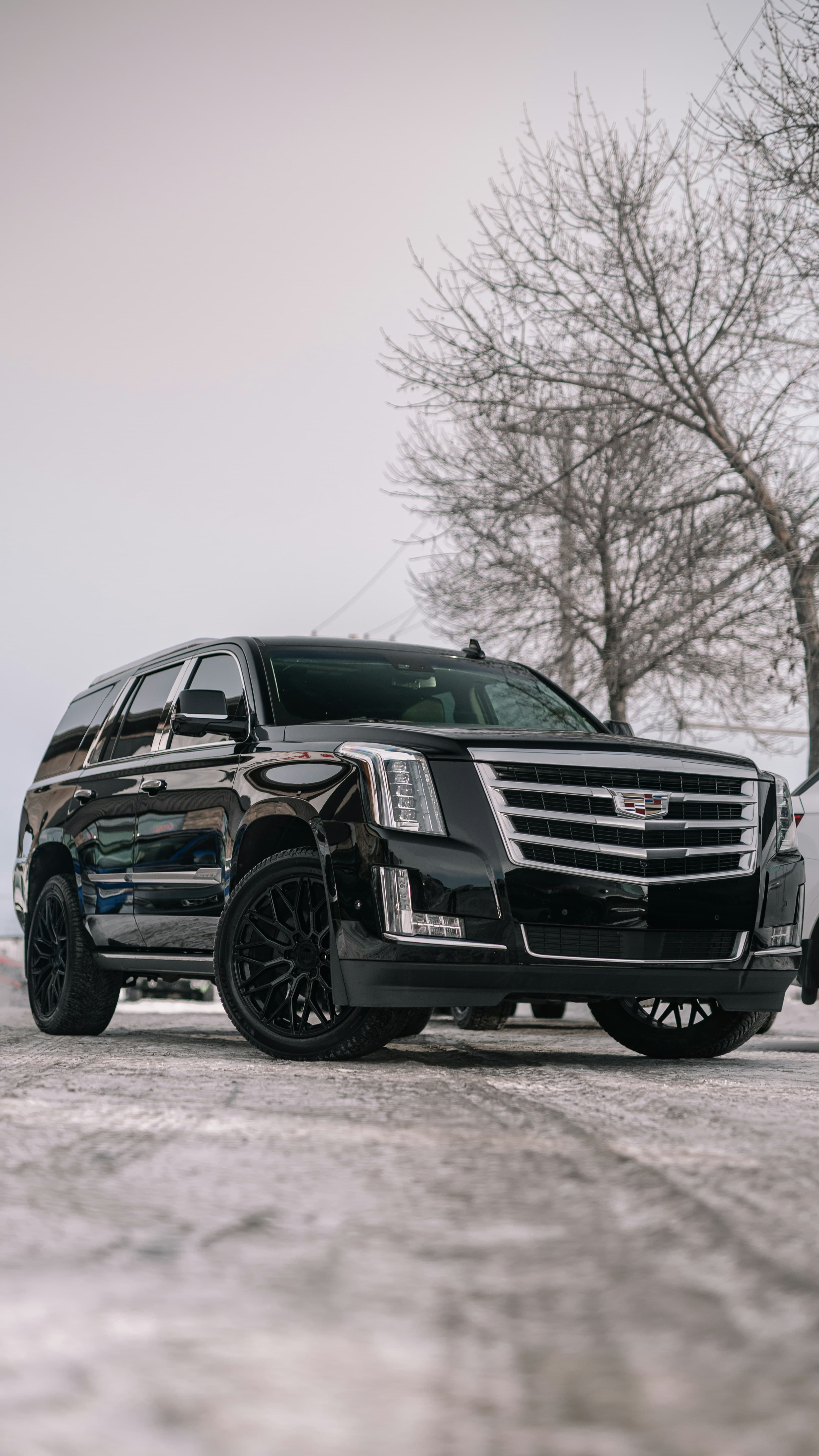 Black Cadillac executive vehicle
